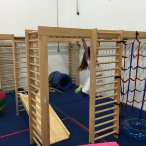 Gimnasio de la selva o Monkey bars Código 6699